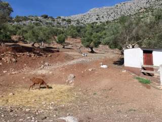 Vistas