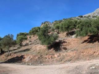 Vistas