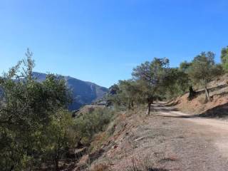 Vistas