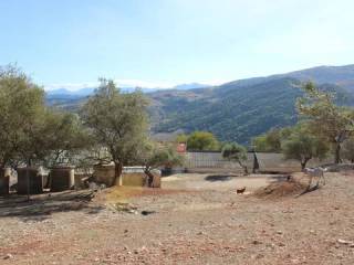 Vistas