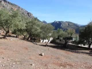Vistas