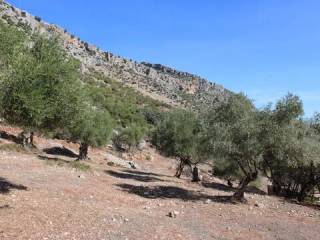 Vistas