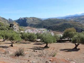 Vistas