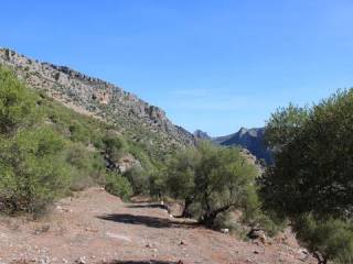 Vistas