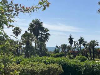 Vistas