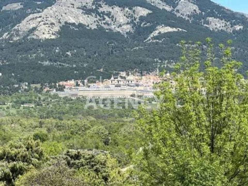 Vistas