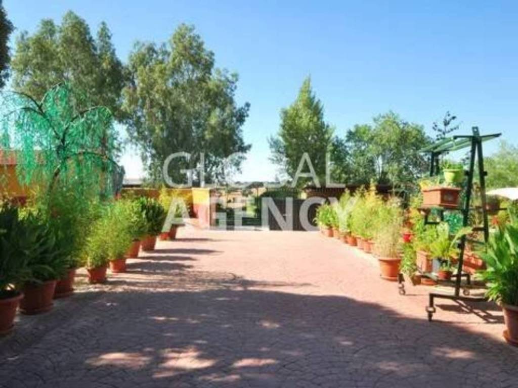 Jardín