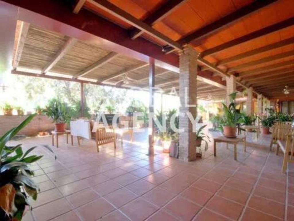 Terraza