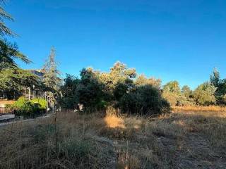 Jardín