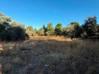 Jardín