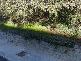 Jardín