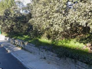 Jardín