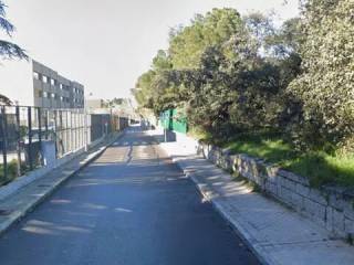 Jardín