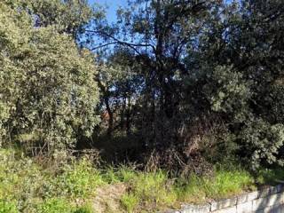 Jardín