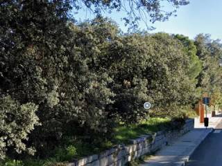 Jardín