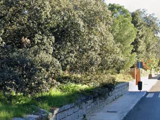 Jardín