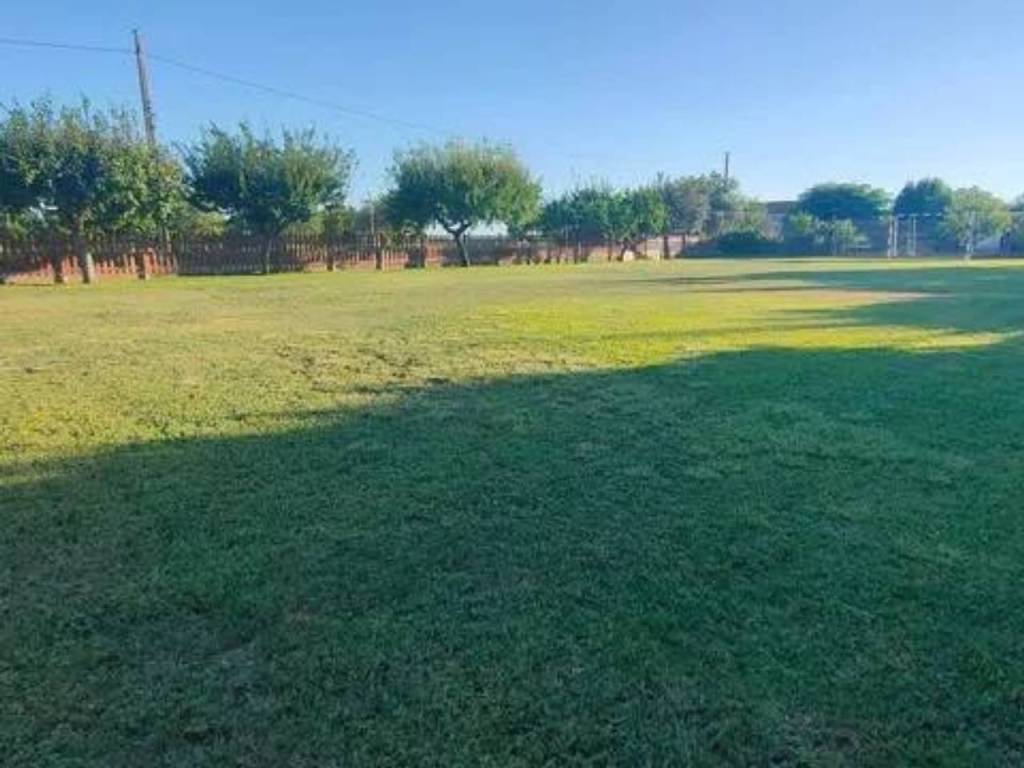 Jardín