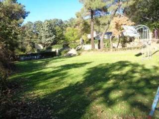 Jardín