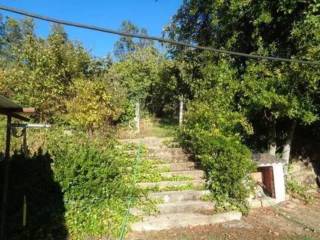 Jardín