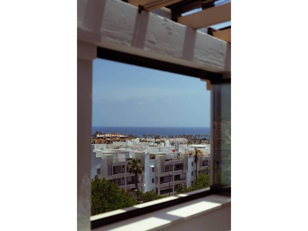 Vistas