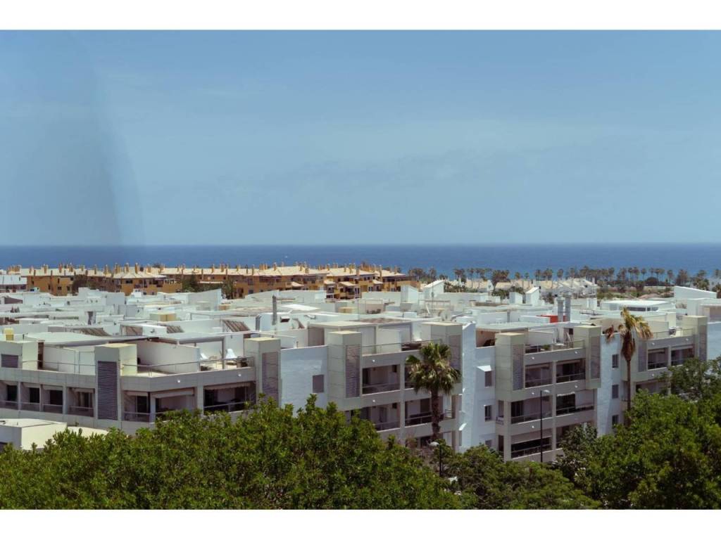Vistas