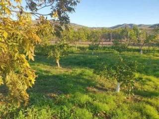 Jardín