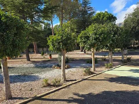 Jardín