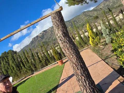 Jardín