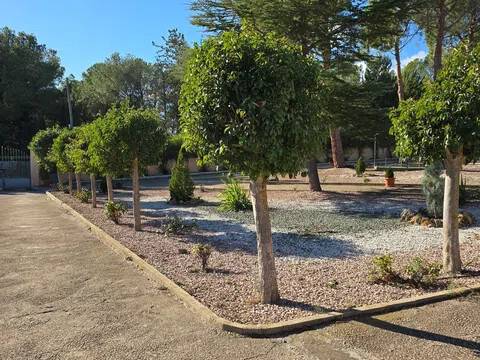 Jardín