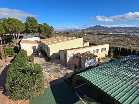 Terraza