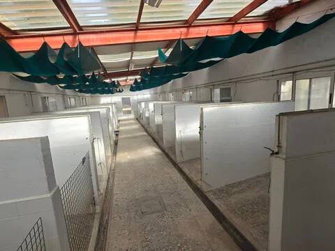 Almacén