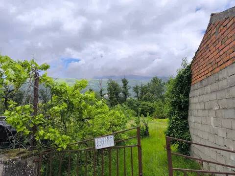 Jardín