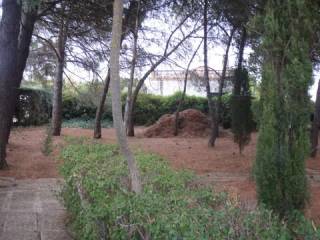 Jardín