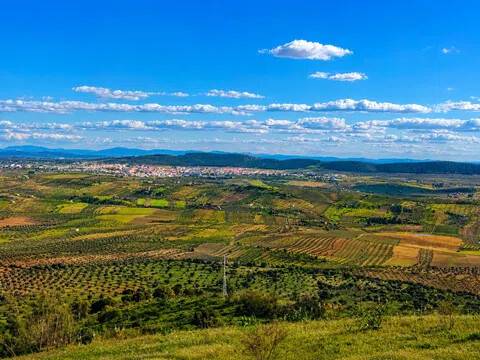 Vistas