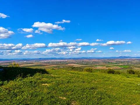 Vistas