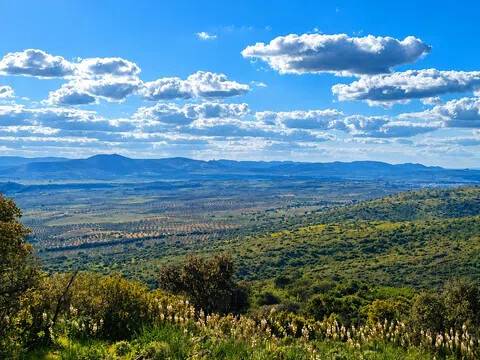 Vistas