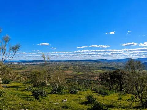 Vistas