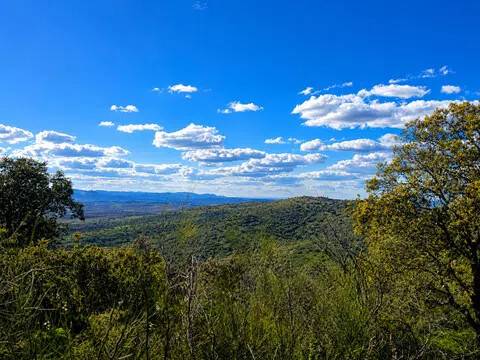 Vistas