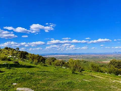 Vistas