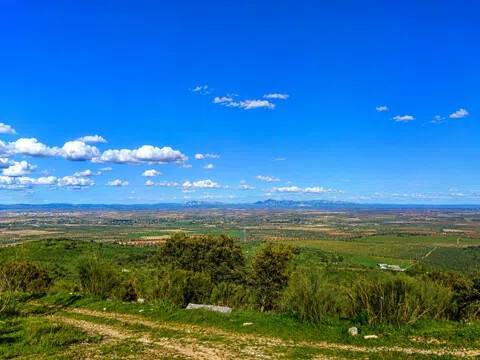 Vistas