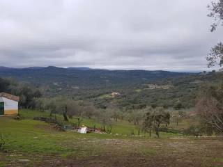Vistas