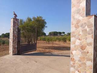 Entrada/salida