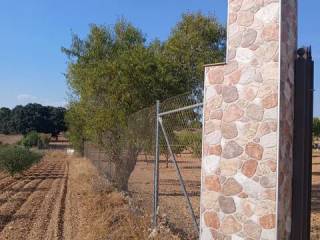 Entrada/salida