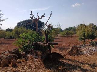 Jardín