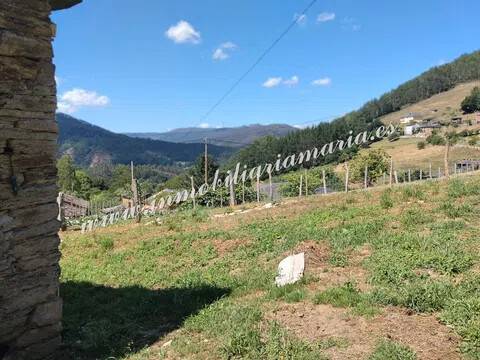 Vistas