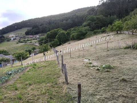 Jardín