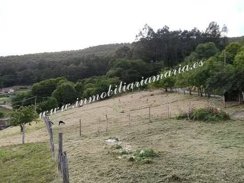 Jardín