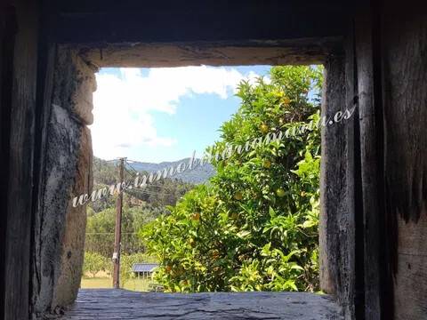 Vistas