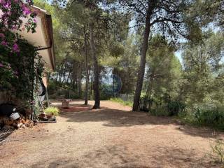 Jardín