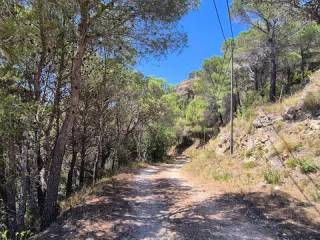 Alrededores